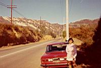 Shelley on the Road.jpg